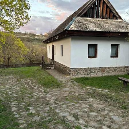 Hollokoeves Vendeghazak *