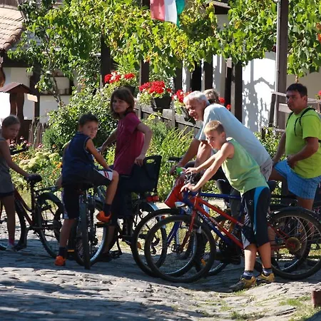 Holiday park Hollokoves Vendeghazak
