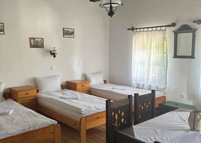 假日公园 霍洛可维斯凡德哈扎克假日公园