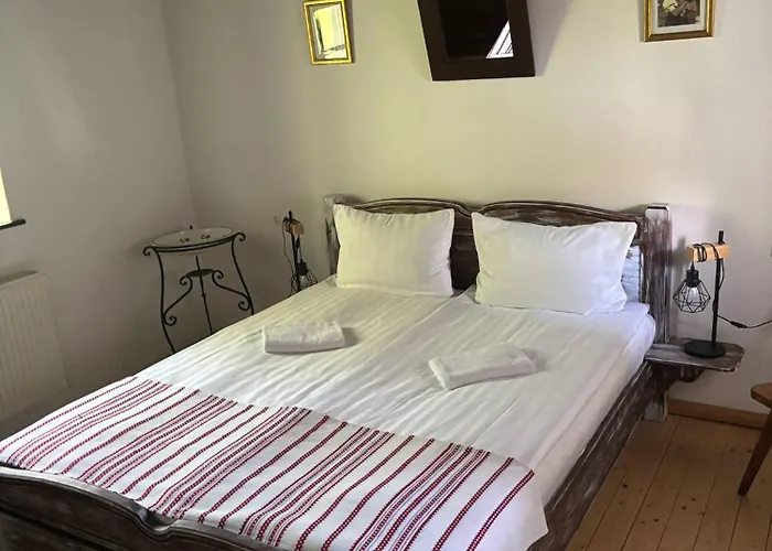 假日公园 霍洛可维斯凡德哈扎克假日公园 *