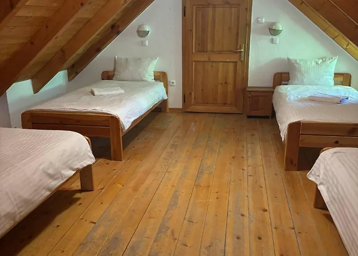 假日公园 霍洛可维斯凡德哈扎克假日公园 *