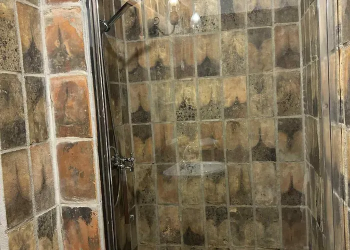 霍洛可维斯凡德哈扎克假日公园 *