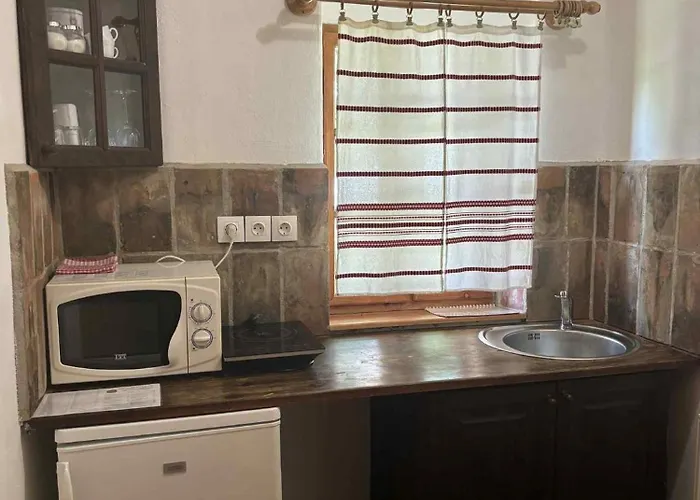 假日公园 霍洛可维斯凡德哈扎克假日公园 *