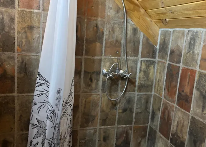 假日公园 霍洛可维斯凡德哈扎克假日公园